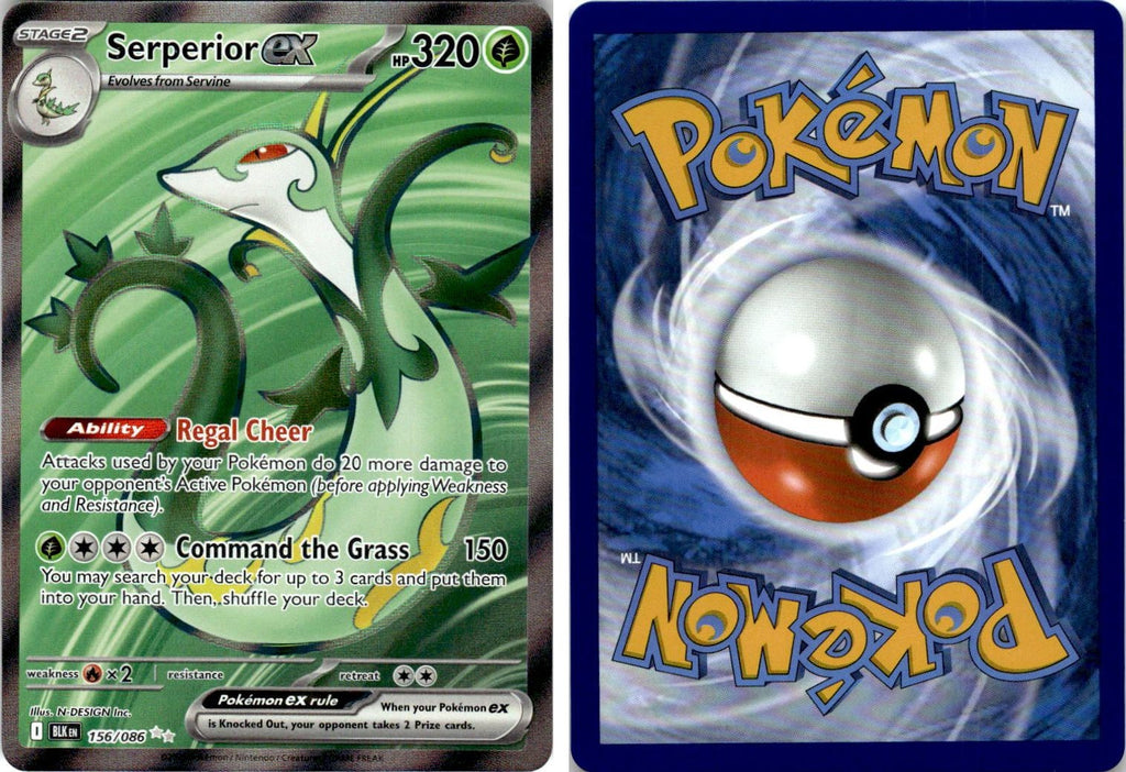 Front + Back scan