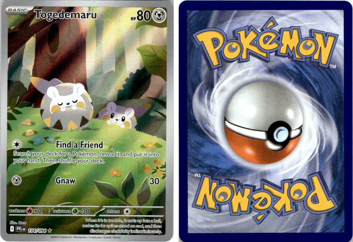 Front + Back scan