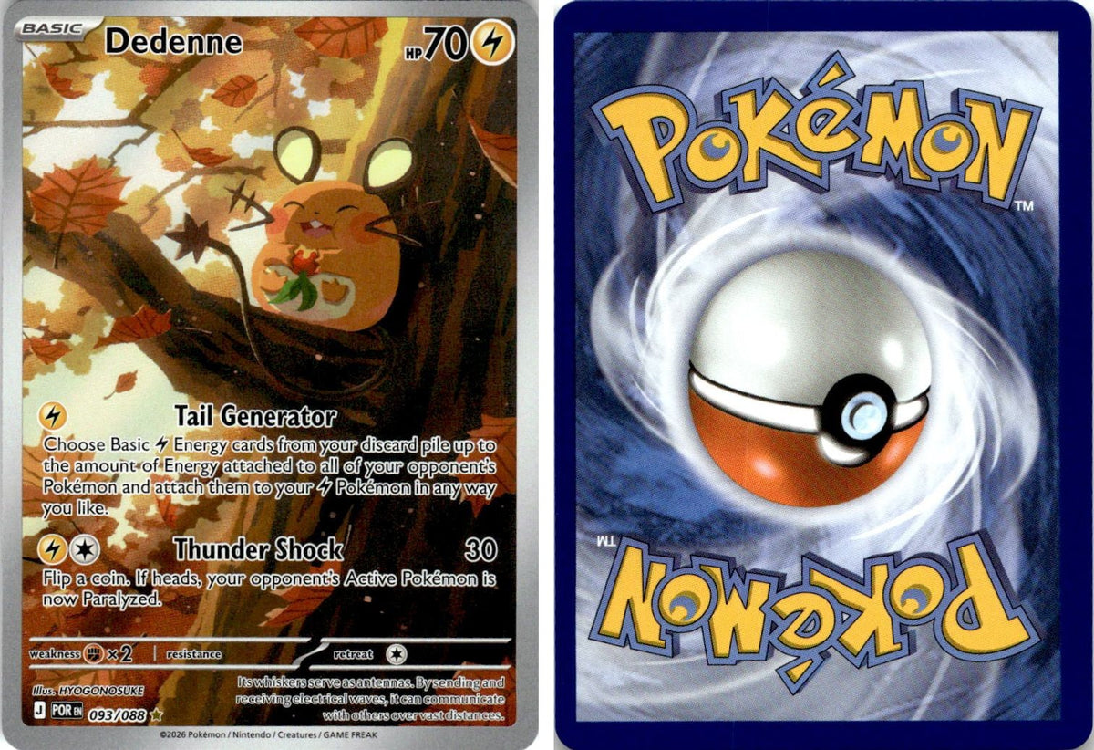 Front + Back scan