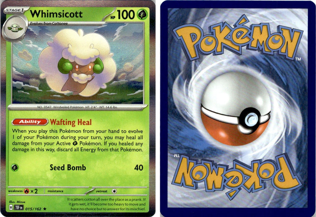 Front + Back scan
