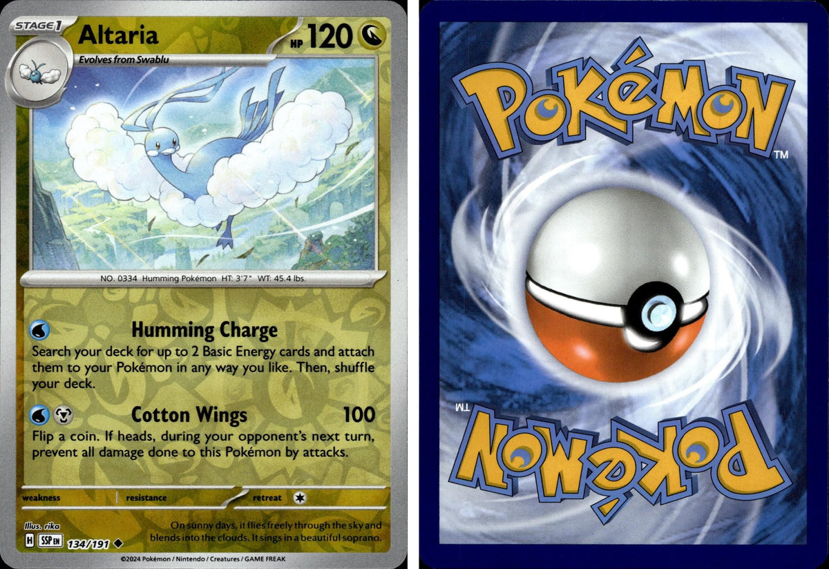 Front + Back scan