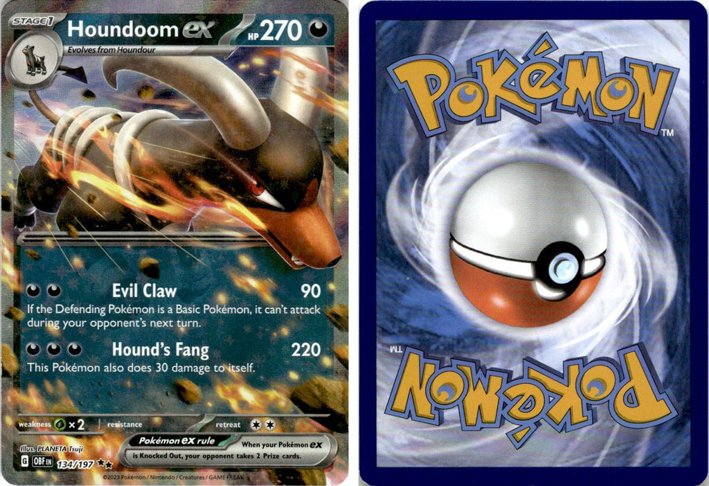 Front + Back scan