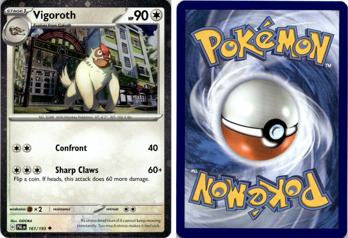Front + Back scan