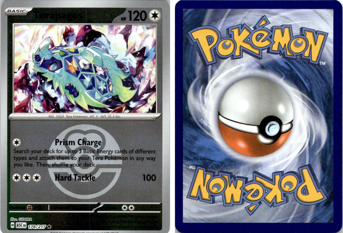 Front + Back scan