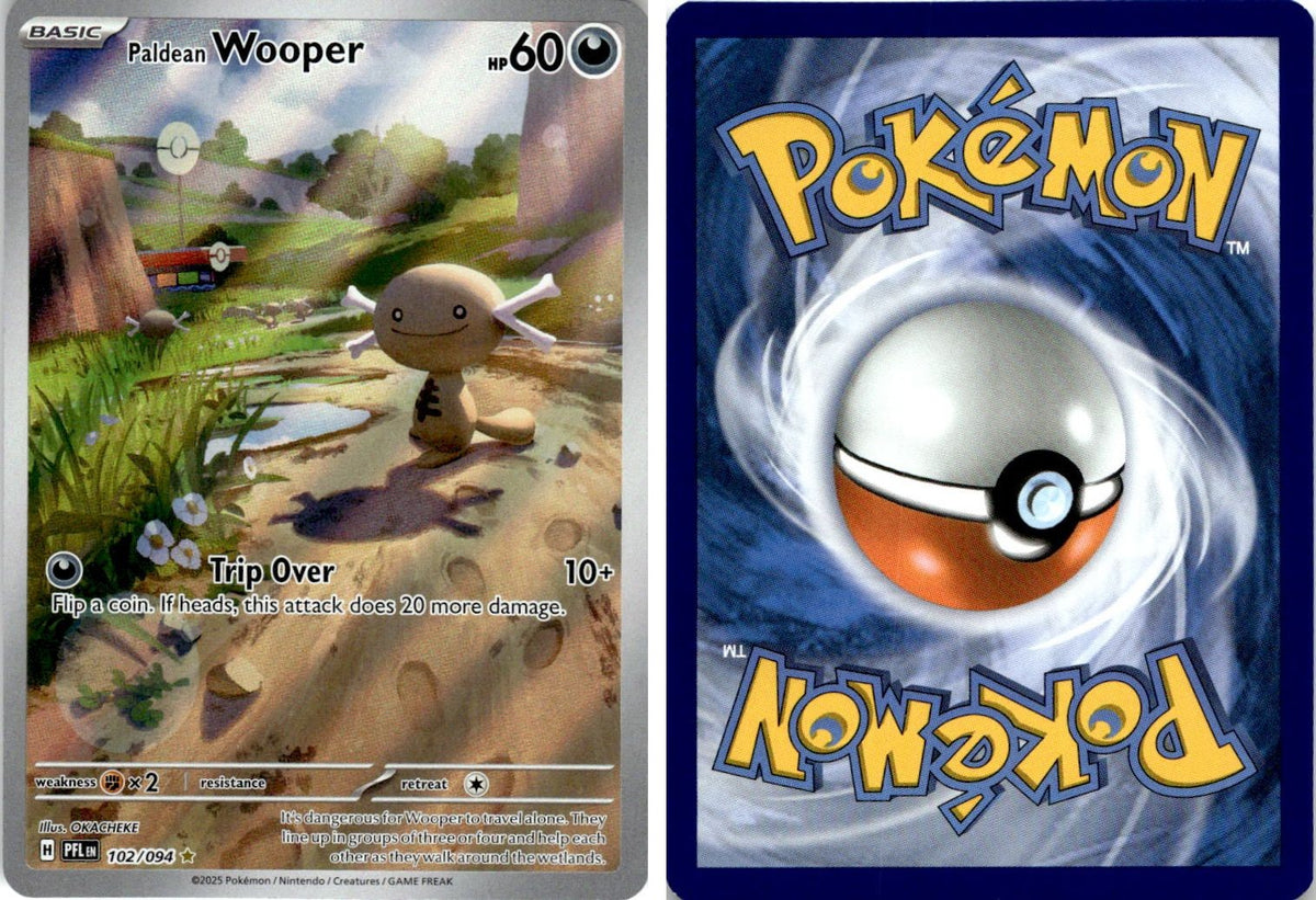 Front + Back scan