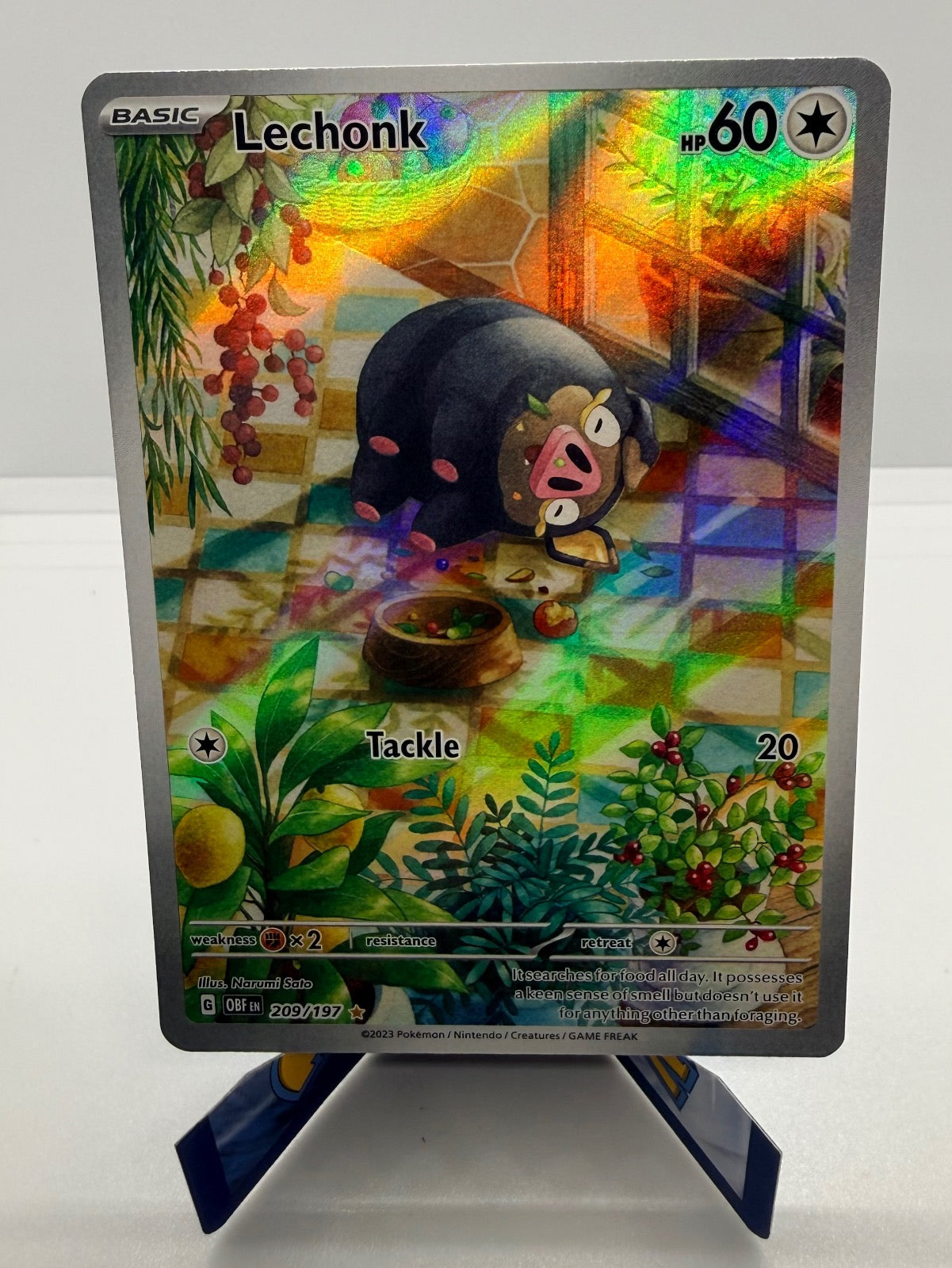 LECHONK 209/197 ILLUSTRATION RARE OBSIDIAN FLAMES POKEMON NM