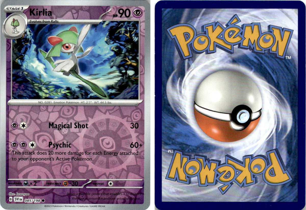Front + Back scan