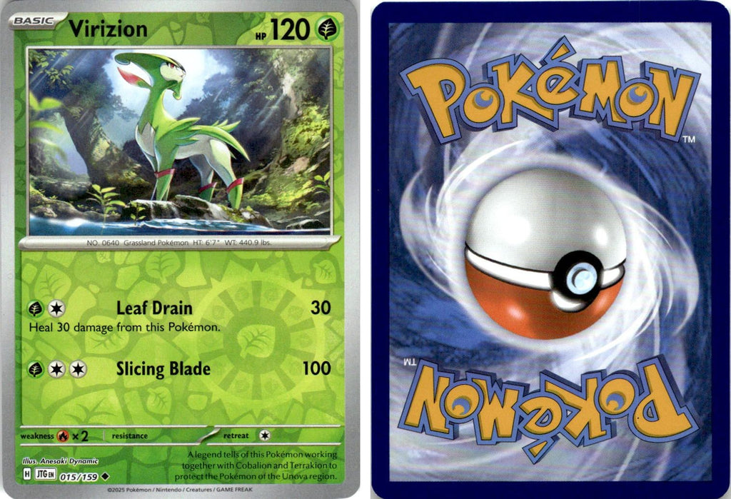 Front + Back scan