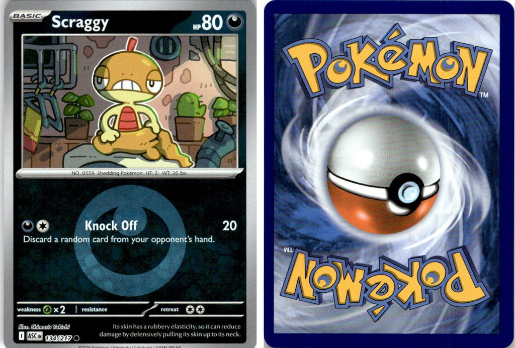 Front + Back scan