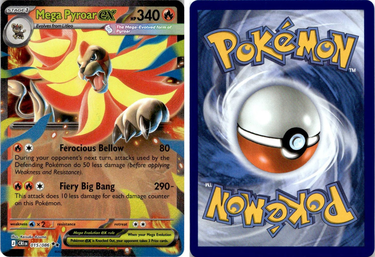 Front + Back scan